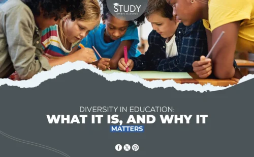 Diversity in Education