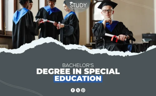 Bachelor's Degree in Special Education