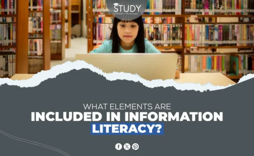 What Elements are Included in Information Literacy