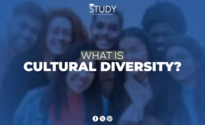 What is Cultural Diversity?, Cultural Diversity Definition