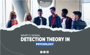 signal detection theory in psychology