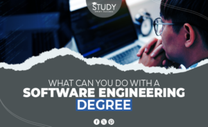 what can you do with a software engineering degree
