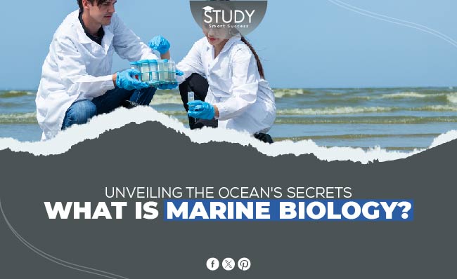 what degree is needed for marine biology