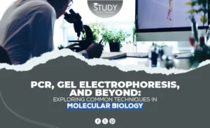 molecular biology techniques