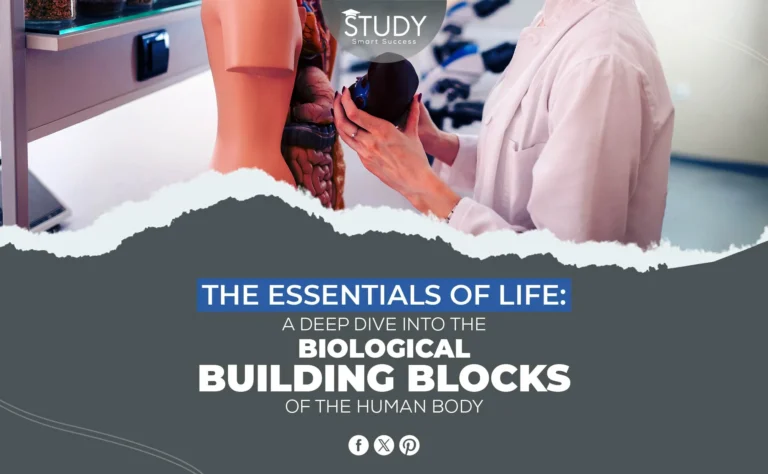 Building Blocks and Functions of the Human Body
