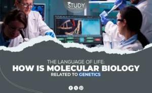 how is molecular biology related to genetics