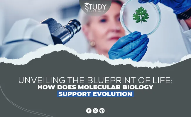 how does molecular biology support evolution