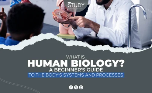 human biology