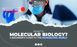 what is molecular biology