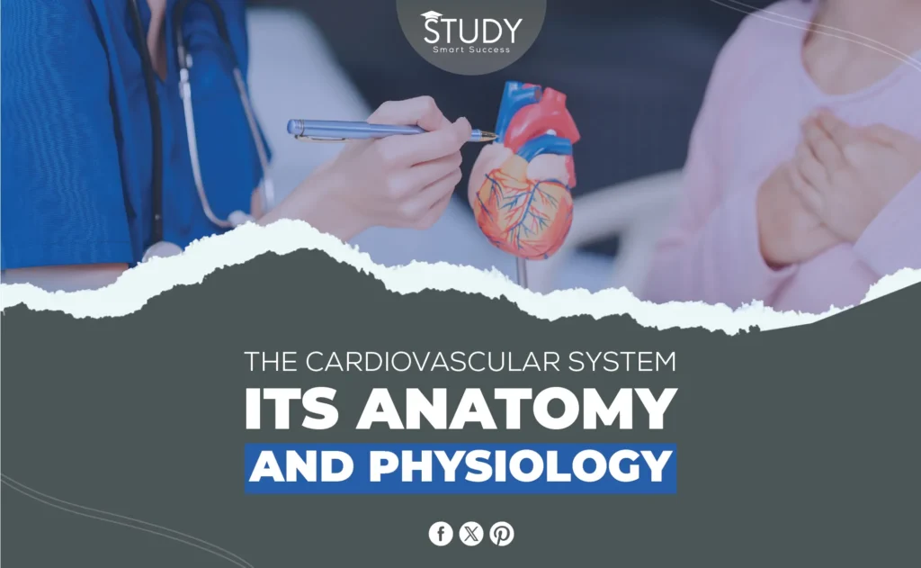 Cardiovascular System