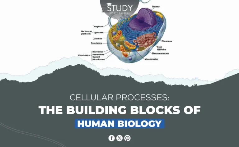 Cellular Processes