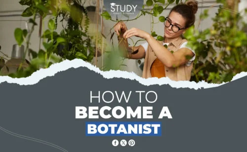 how to become a botanist