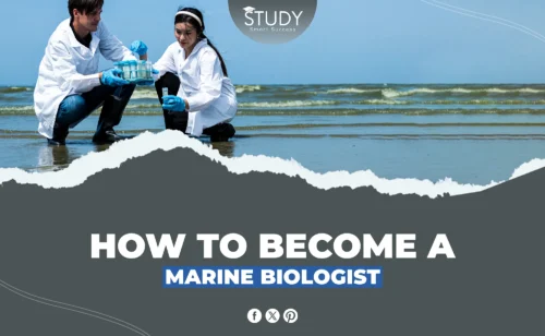 how to become a marine biologist