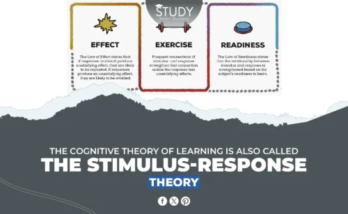 the cognitive theory of learning is also called the stimulus-response theory