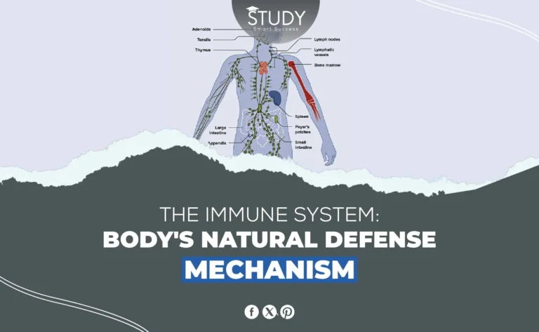 Immune System