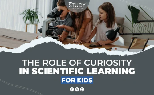 Curiosity in Learning for Kids