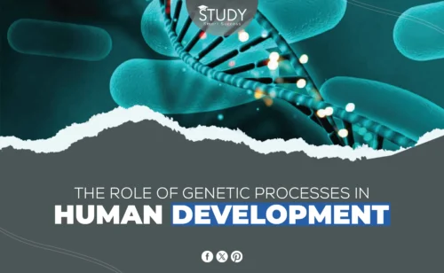 Genetic Processes