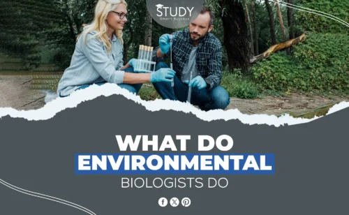 what do environmental biologists do