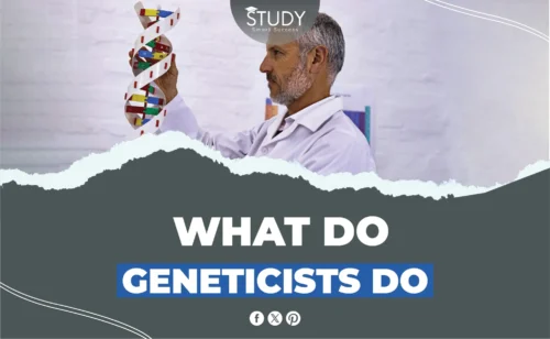 What Do Geneticists Do