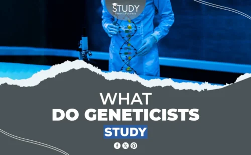 what do geneticists study