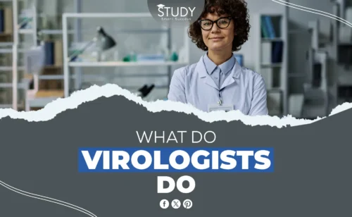 what do virologists do