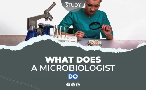 what does a microbiologist do