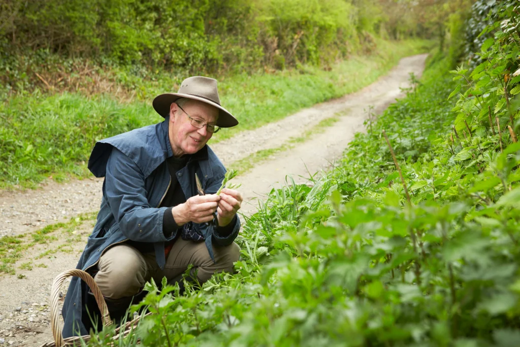 what is a botanist