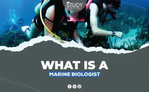 what is a marine biologist