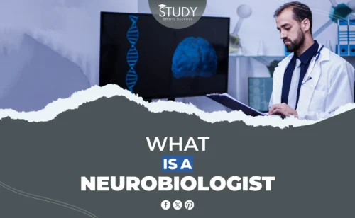 What is a Neurobiologist