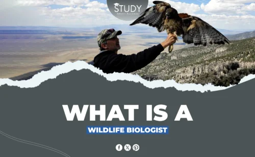 what is a wildlife biologist