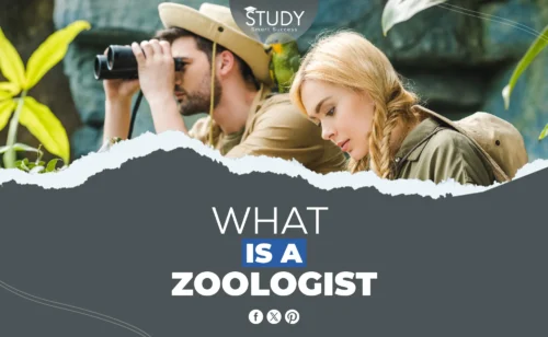 what is a zoologist