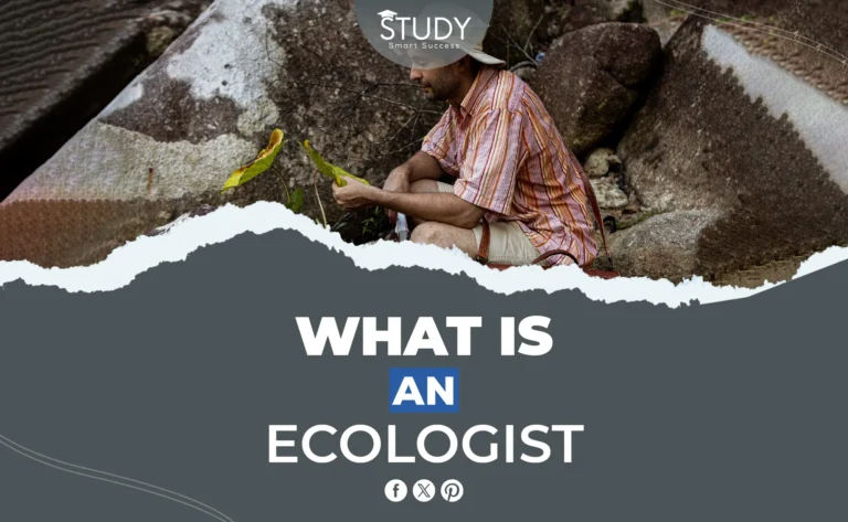 what is an ecologist