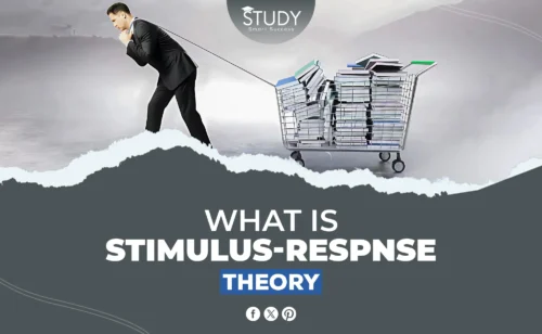 stimulus-response theory