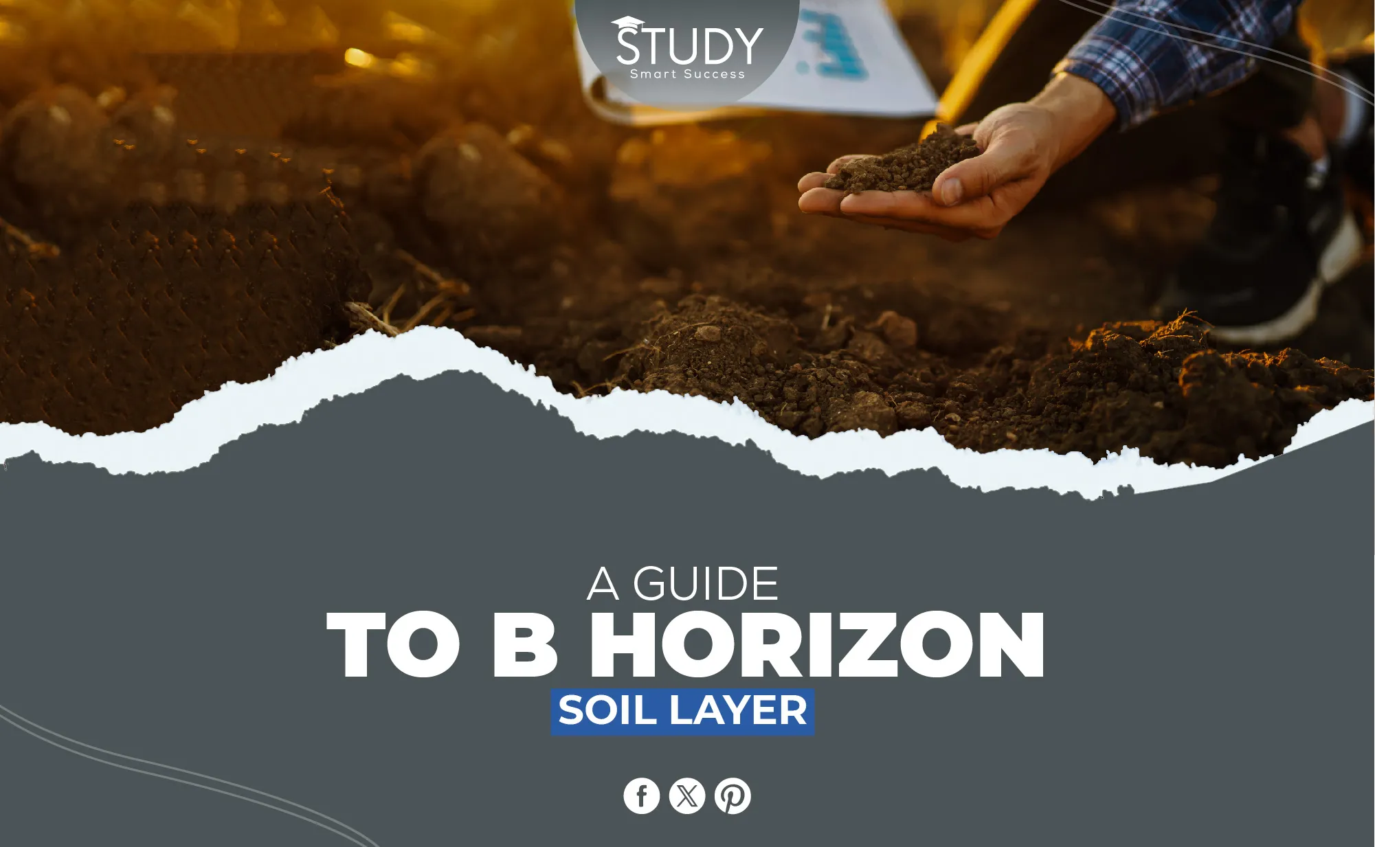 A Guide To B Horizon Soil Layer | Study Smart Success