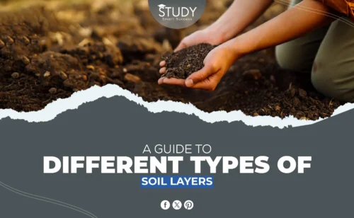 soil layers