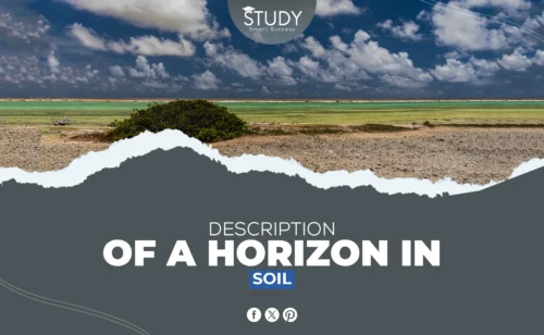 description of a horizon in soil