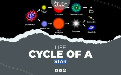 life cycle of a star