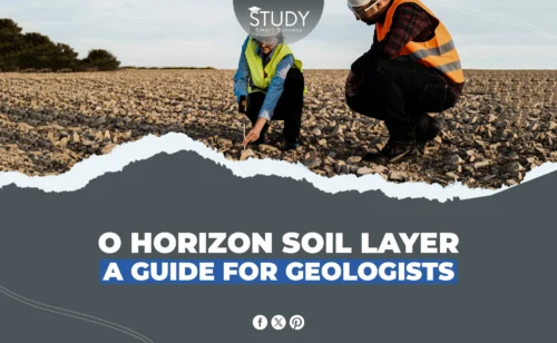 o horizon soil