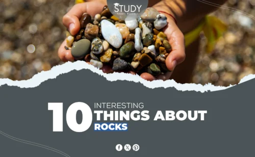 interesting things about rocks