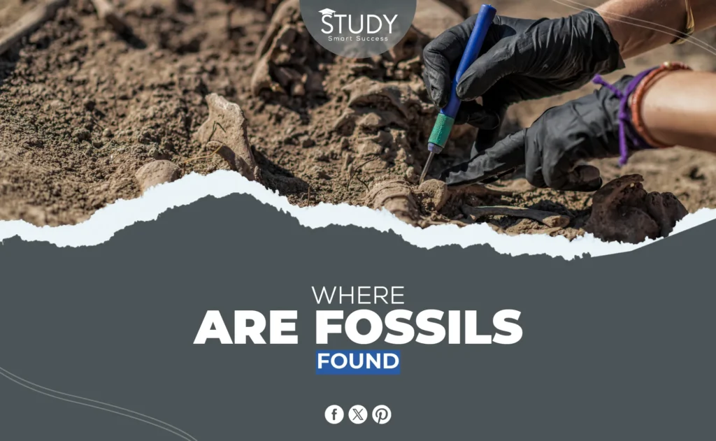 where are fossils found